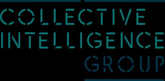 Collective Intelligence Group